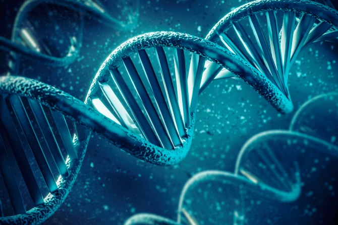 Estructura ADN