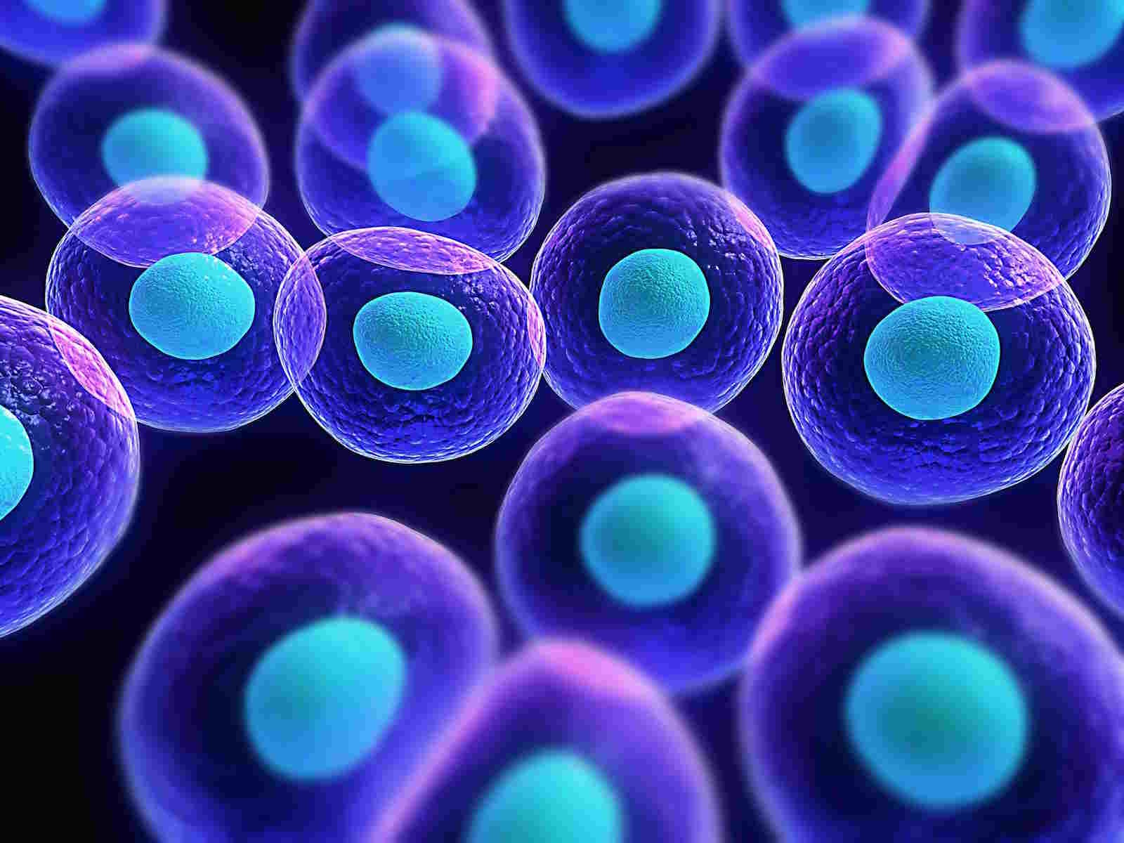 Biología Celular