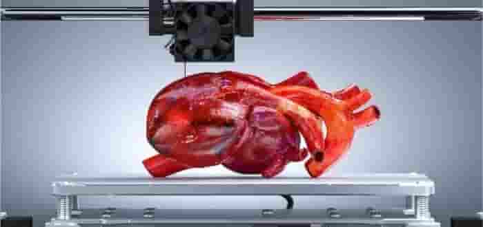 Impresiones 3D en Biología