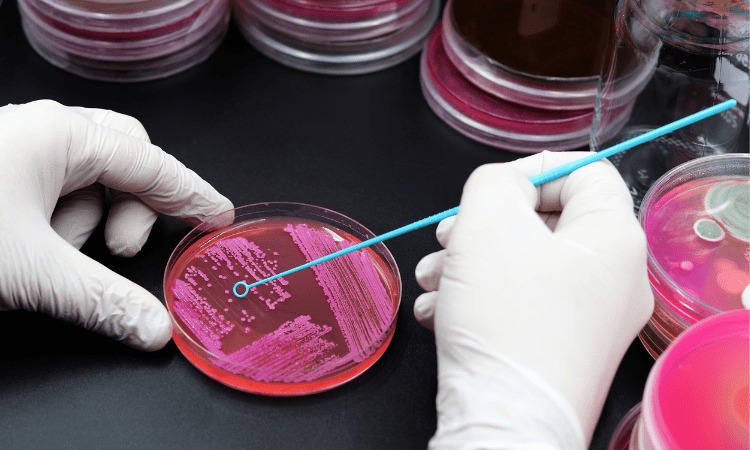 Microscopía Avanzada