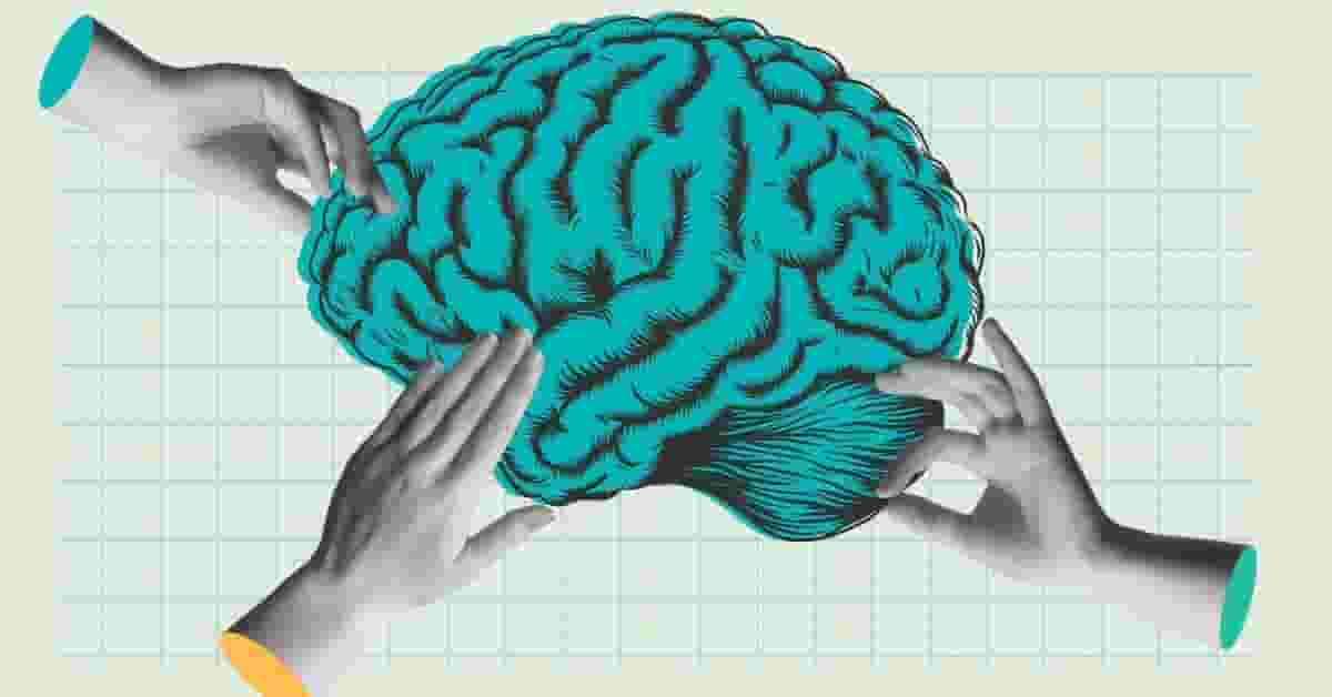 ¿Cómo funciona la memoria humana?